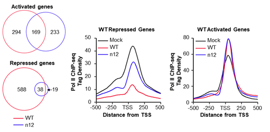 Pol II ChIP-seq histograms